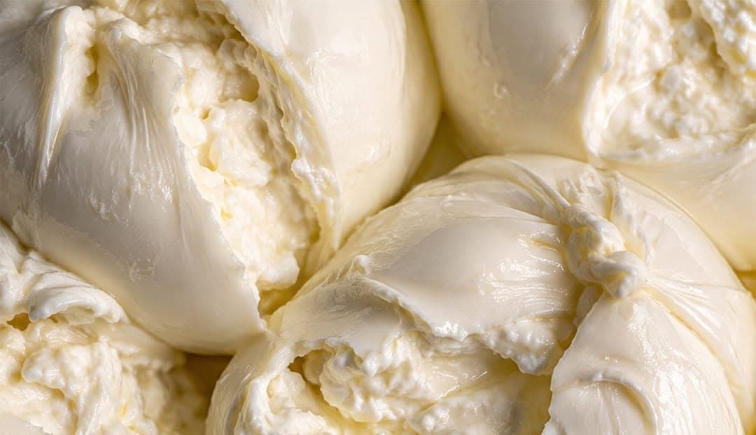 Torn burrata