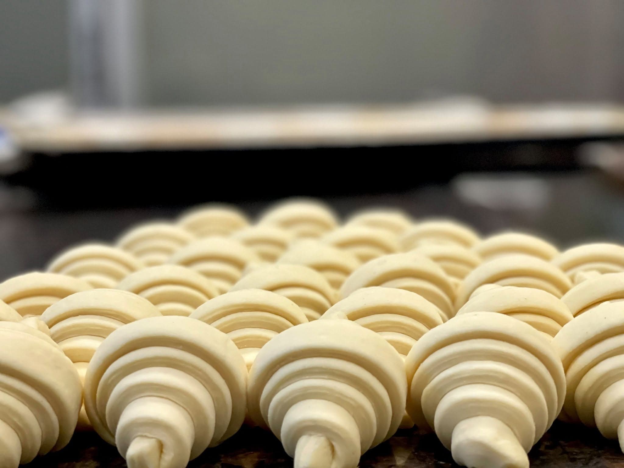 Rows of shaped croissants before baking